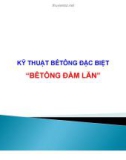 Bài giảng Kỹ thuật bê tông đặc biệt: Bê tông đầm lăn