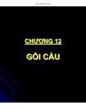 Thiết kế cầu bê tông cốt thép - Chương 12