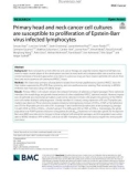 Primary head and neck cancer cell cultures are susceptible to proliferation of Epstein-Barr virus infected lymphocytes