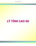 Công nghệ cao su - Phần 3