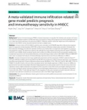 A meta-validated immune infiltration-related gene model predicts prognosis and immunotherapy sensitivity in HNSCC