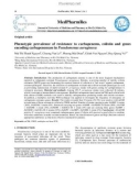 Phenotypic prevalence of resistance to carbapenems, colistin and genes encoding carbapenemase in Pseudomonas aeruginosa