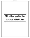 Một số loài hoa làm đẹp cho ngôi nhà của bạn