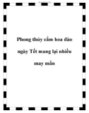 Phong thủy cắm hoa đào ngày Tết mang lại nhiều may mắn