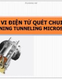 HIỂN VI ĐIỆN TỬ QUÉT CHUI HẦM (SCANNING TUNNELING MICROSCOPE)