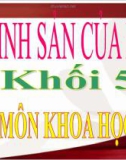 Bài 57: Sự sinh sản của ếch - Bài giảng điện tử Khoa học 5 - T.B.Minh