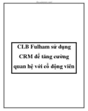 CLB Fulham sử dụng CRM để tăng cường quan hệ với cổ động viên