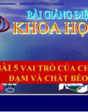 Bài 5: Vai trò của chất đạm và chất béo - Bài giảng điện tử Khoa học 4 - L.K.Chi