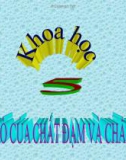 Bài giảng Vai trò của chất đạm và chất béo - Khoa học 4 - GV. N.T.Sỹ