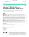 Personalized targeted therapy prescription in colorectal cancer using algorithmic analysis of RNA sequencing data