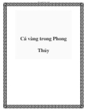 Cá vàng trong Phong Thủy