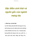 Đặc điểm sinh thái và nguồn gốc của ngành mang râu