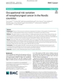 Occupational risk variation of nasopharyngeal cancer in the Nordic countries