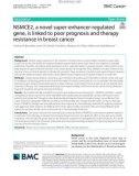 NSMCE2, a novel super-enhancer-regulated gene, is linked to poor prognosis and therapy resistance in breast cancer