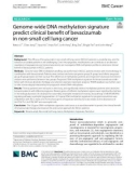 Genome-wide DNA methylation signature predict clinical benefit of bevacizumab in non-small cell lung cancer