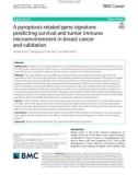 A pyroptosis-related gene signature predicting survival and tumor immune microenvironment in breast cancer and validation