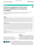 A role for ceruloplasmin in the control of human glioblastoma cell responses to radiation