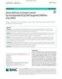 Gene delivery to breast cancer by incorporated EpCAM targeted DARPins into AAV2