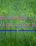 Bài giảng Ngữ văn 10: Những yêu cầu về sử dụng tiếng Việt