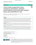 Yttrium Oxide nanoparticles induce cytotoxicity, genotoxicity, apoptosis, and ferroptosis in the human triple-negative breast cancer MDA-MB-231 cells