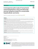 A retrospective pilot study of transarterial chemoembolisation using camrelizumab-eluting Callisphere beads for unresectable hepatocellular carcinoma