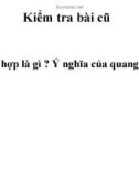 Bài giảng điện tử môn sinh học: nước ở rễ cây