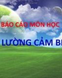 Báo cáo Đo lường cảm biến: Cảm biến khói - ĐHSPKT TPHCM