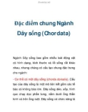 Đặc điểm chung Ngành Dây sống (Chordata)