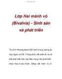 Lớp Hai mảnh vỏ (Bivalvia) - Sinh sản và phát triển