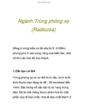 Ngành Trùng phóng xạ (Radiozoa)