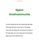 Ngành Gnathostomulida