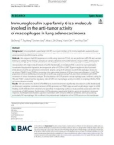 Immunoglobulin superfamily 6 is a molecule involved in the anti-tumor activity of macrophages in lung adenocarcinoma