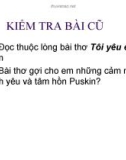 Bài giảng Ngữ văn 11: Người trong bao - A.P.Sê-khốp