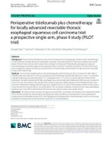 Perioperative tislelizumab plus chemotherapy for locally advanced resectable thoracic esophageal squamous cell carcinoma trial: a prospective single-arm, phase II study (PILOT trial)