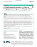 Endosulfine alpha maintains spindle pole integrity by recruiting Aurora A during mitosis