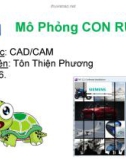 Bài thuyết trình môn CAD/CAM: Mô phỏng con rùa