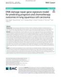 DNA damage repair gene signature model for predicting prognosis and chemotherapy outcomes in lung squamous cell carcinoma