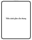 Tiểu cảnh gầm cầu thang