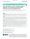 LAP3 contributes to IFN-γ-induced arginine depletion and malignant transformation of bovine mammary epithelial cells