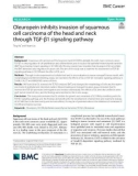 Oleuropein inhibits invasion of squamous cell carcinoma of the head and neck through TGF-β1 signaling pathway