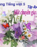 Bài giảng Tập đọc: Một chuyên gia máy xúc - Tiếng việt 5 - GV.N.T.Hồng