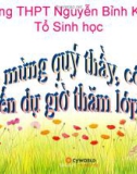 Giáo án điện tử sinh học: Sinh học 12-BIẾN ĐỘNG SỐ LƯỢNG CÁ THỂ CỦA QUẦN THỂ SINH VẬT