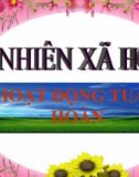 Slide bài Hoạt động tuần hoàn - Tự Nhiên Xã Hội 3 - GV.H.T.Minh