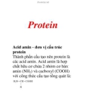 Protein