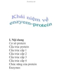 khái niệm về enzym - protein