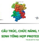 Bài giảng: CẤU TRÚC, CHỨC NĂNG, VÀ SINH TỔNG HỢP PROTEIN