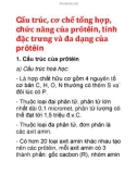 Cấu trúc, cơ chế tổng hợp, chức năng của prôtêin