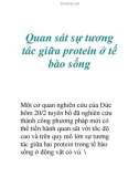 Quan sát sự tương tác giữa protein ở tế bào sống