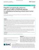 Flagellin synergistically enhances anti-tumor effect of EGFRvIII peptide in a glioblastoma-bearing mouse brain tumor model