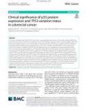 Clinical significance of p53 protein expression and TP53 variation status in colorectal cancer